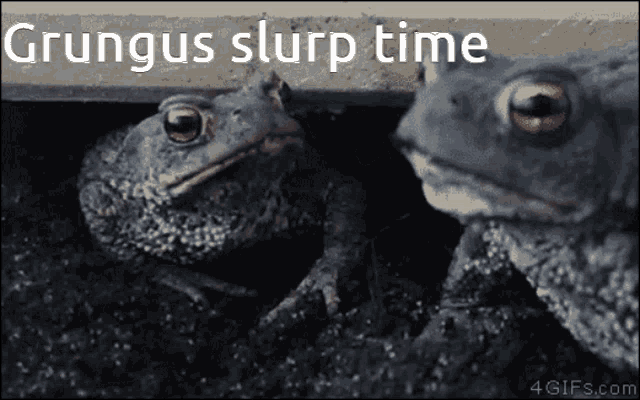 Grungus Toad GIF - Grungus Toad Slurp GIFs