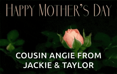 a pink rose with the words `` happy mother 's day cousin angie from jackie & taylor '' on it .