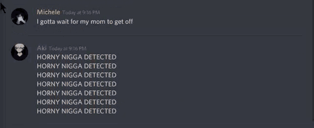 a screenshot of a discord conversation with horny nigga detected