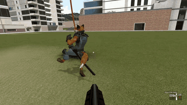 a video game screen shows a fox holding a sword and says king of the hill