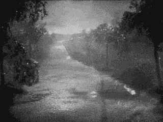 a black and white photo of a road with trees on the side of it .