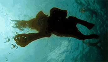a shadow of a person swimming in the ocean