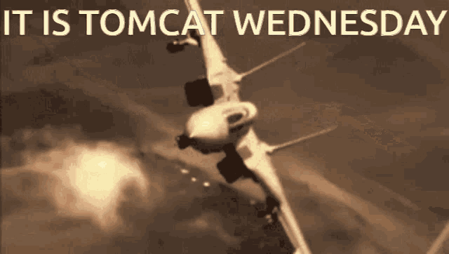 Tomcat Wednesday GIF - Tomcat Wednesday GIFs