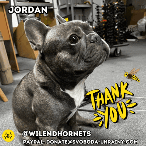 a picture of a dog with the name jordan and the words thank you