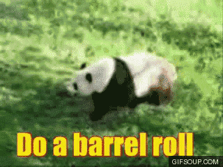 Barrel Roll GIF - Barrel Roll Panda GIFs