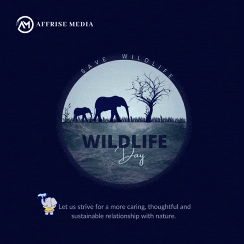 Affrise Media World Wildlife Day GIF - Affrise Media World Wildlife Day Save Animals GIFs