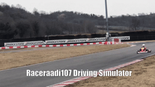 Raceraadi Driving GIF - Raceraadi Driving Simulator GIFs