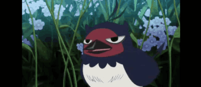 a black and white bird is standing in a field of flowers .