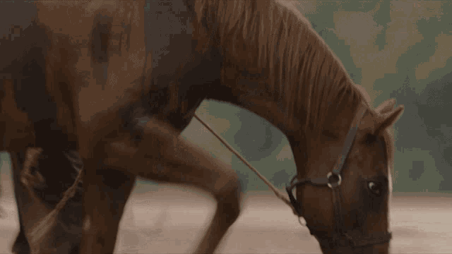 Thirsty 1883 GIF - Thirsty 1883 Quenched GIFs