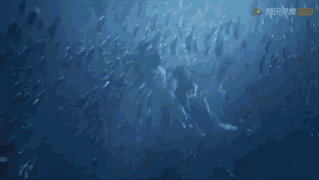 a person is swimming in the ocean with chinese writing on the screen