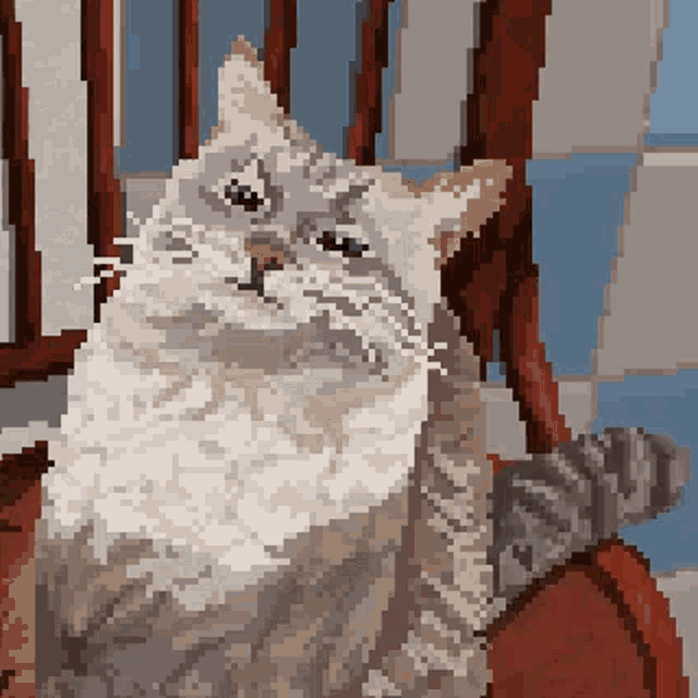 Arche Cat GIF - Arche Cat Pankace GIFs