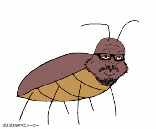Bug Insect GIF - Bug Insect Cockroach GIFs