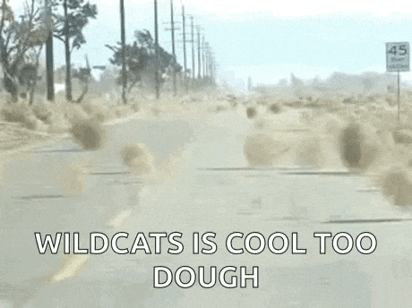 a car is driving down a dirt road with the words `` wildcats is cool too dough '' written on the side .
