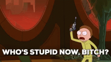 Rick Morty Stupid GIF - Rick Morty Stupid Whos Stupid GIFs