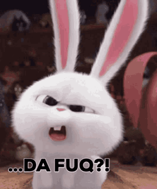 a cartoon rabbit says " da fuq " in front of a blurred background