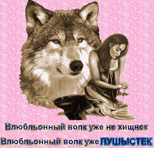 a woman is sitting next to a large wolf with a pink background