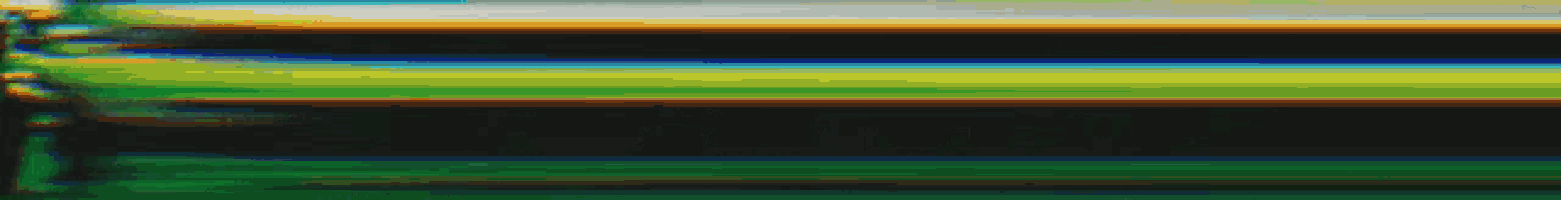 the word artex is displayed on a green and black background