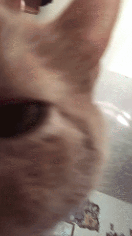 a close up of a cat 's face with its eyes open