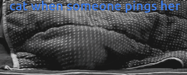 a cat laying under a blanket with the words " cat when someone pings her " above it