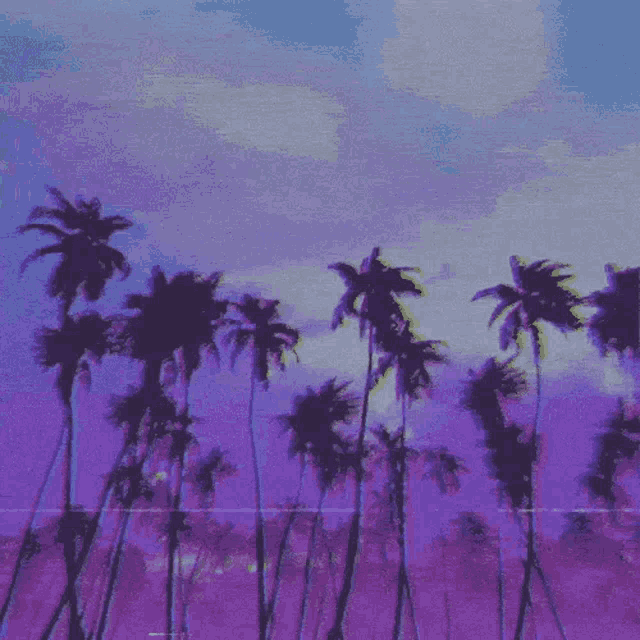 Palm Trees GIF - Palm Trees Beach GIFs