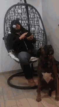 a man is sitting in a wicker chair with a dog standing next to him