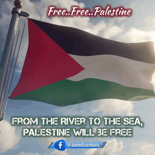 palestine-palestine-flag.gif