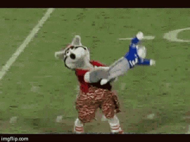 a football player in a blue uniform with the number 12 on it is laying on the ground