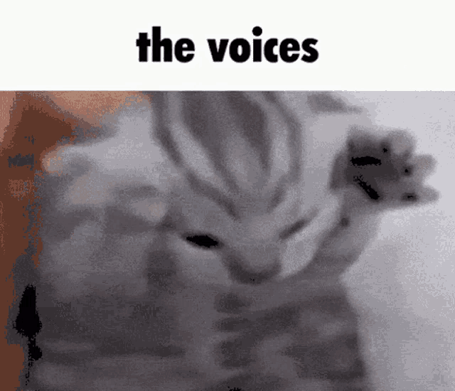Schizo Cat The Voices GIF - Schizo Cat The Voices GIFs