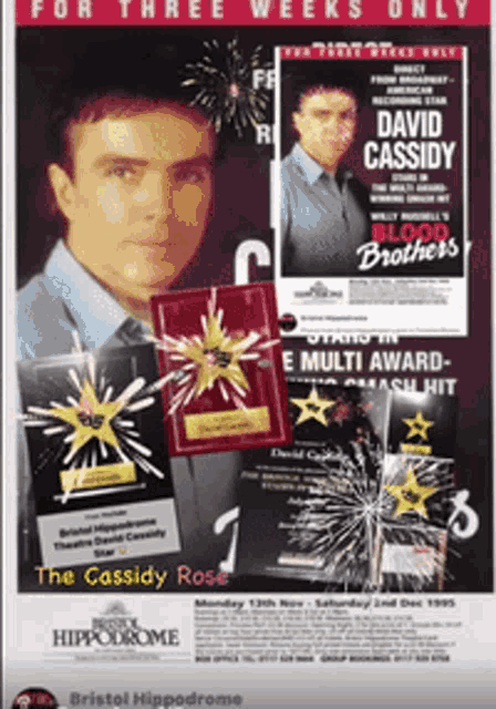 David Cassidy The Cassidy Rose GIF - David Cassidy The Cassidy Rose Bristol GIFs