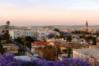 a cityscape with purple flowers and a clock tower in the distance