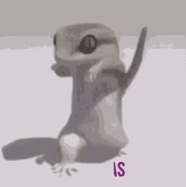 a cartoon lizard is standing on a white surface with the word pachan written on the bottom .
