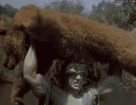 hulk is carrying a bear on his shoulders in a scene from the movie hulk