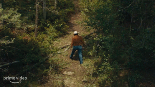 Wandering Outer Range GIF - Wandering Outer Range Lost In A Forest GIFs