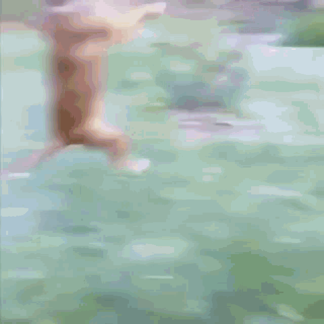 a painting of a person walking in a yard