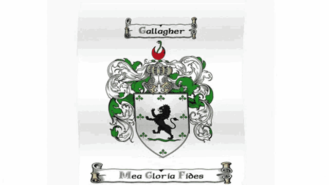 Gallagher Donegal GIF - Gallagher Donegal High Kings Ireland GIFs