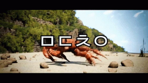ᄆᄃᄎᄋ Dance Crab GIF - ᄆᄃᄎᄋ Dance Crab Meme Crabs GIFs