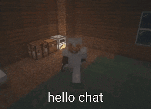a screenshot of a minecraft character with the words hello chat below it
