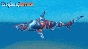 Hammerhead Hammerhead Shark GIF - Hammerhead Hammerhead Shark Hammer Head Shark GIFs