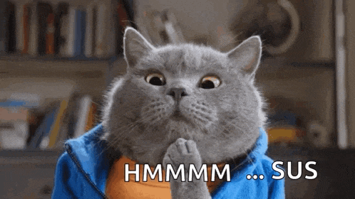 a gray cat wearing a blue jacket is looking at the camera and says hmmmm sus .