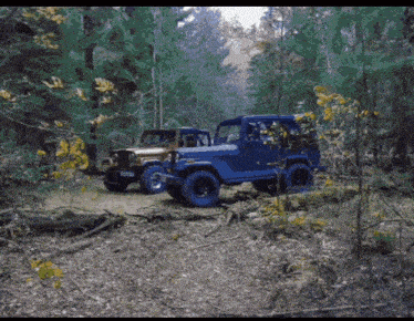 two jeep 's are parked in the woods with one having a license plate that says ' tc '