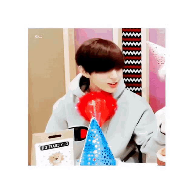 a boy wearing a gray champion sweatshirt holds a party hat