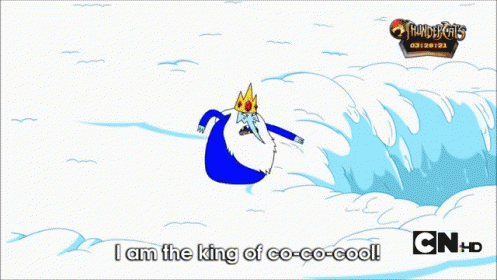 The King Of Cool Losing His Cool GIF - Adventuretime Iceking Snow GIFs
