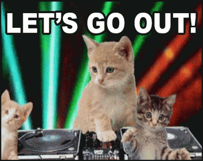 Lets Go Out Cat GIF - Lets Go Out Cat GIFs