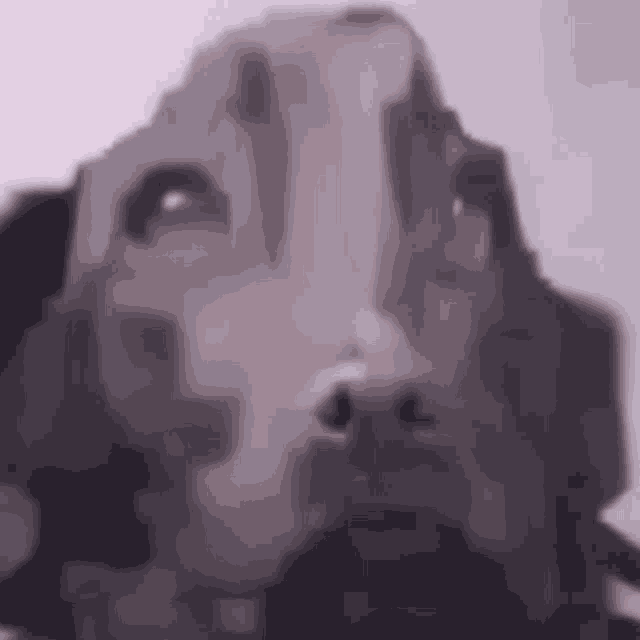 a close up of a dog 's face in a pixelated image .