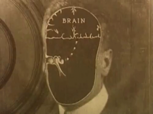Brain Sound GIF - Brain Sound Thinking GIFs