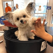 Aww GIF - Aww GIFs