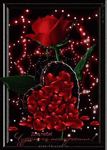 Red Roses GIF - Red Roses Animation GIFs