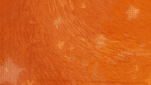 the word jyung is written in white on a orange background