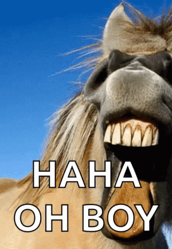 Horse Horse Smile GIF - Horse Horse Smile Horse Teeth GIFs
