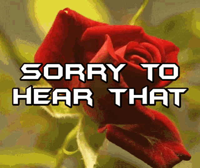 Sorry To Hear That Rose GIF - Sorry To Hear That Rose Blooming GIFs